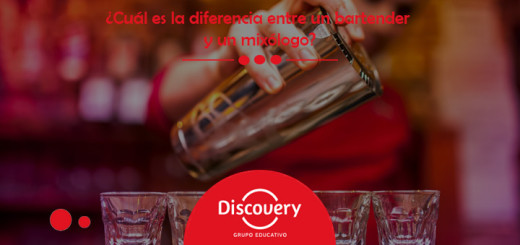 mixologo-bartender-1