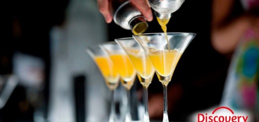 barman profesional ge discovery