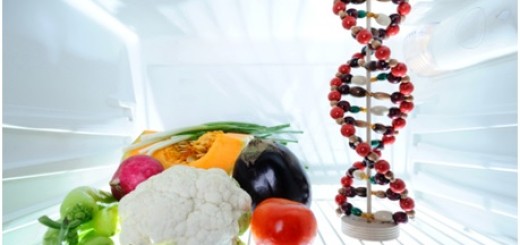 que-es-cocina-molecular