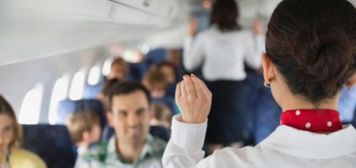 tripulante cabina servicio vuelo gediscovery