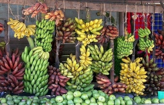 Ingredientes esenciales de la gastronomía peruana – parte 2