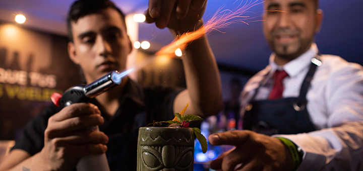 ¿Por qué estudiar la carrera de bar profesional?