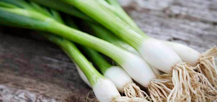 8 ingredientes esenciales en la cocina oriental