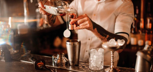 discovery diferencia entre bartender mixologo